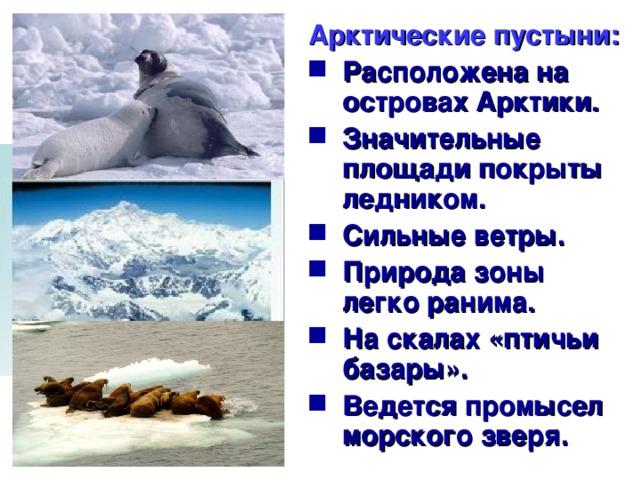 Арктические пустыни:
