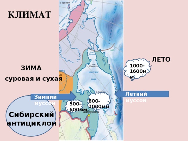 КЛИМАТ ЛЕТО 1000-1600мм ЗИМА суровая и сухая Летний муссон Зимний муссон 800-1000мм 500- 600мм Сибирский антициклон