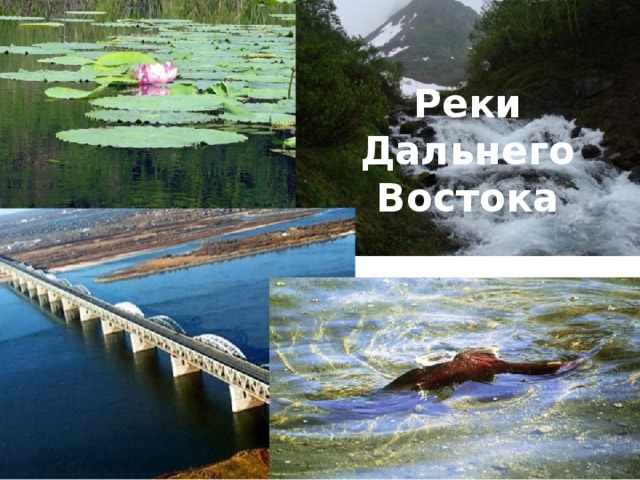 Реки Дальнего Востока