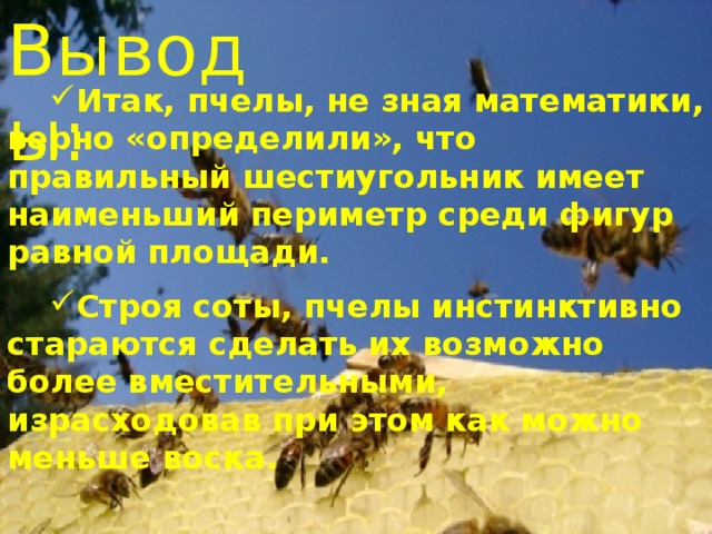 Выводы: Итак, пчелы, не зная математики, верно «определили», что правильный шестиугольник имеет наименьший периметр среди фигур равной площади.  Строя соты, пчелы инстинктивно стараются сделать их возможно более вместительными, израсходовав при этом как можно меньше воска.