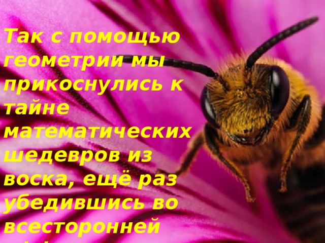 Так с помощью геометрии мы прикоснулись к тайне математических шедевров из воска, ещё раз убедившись во всесторонней эффективности математики.