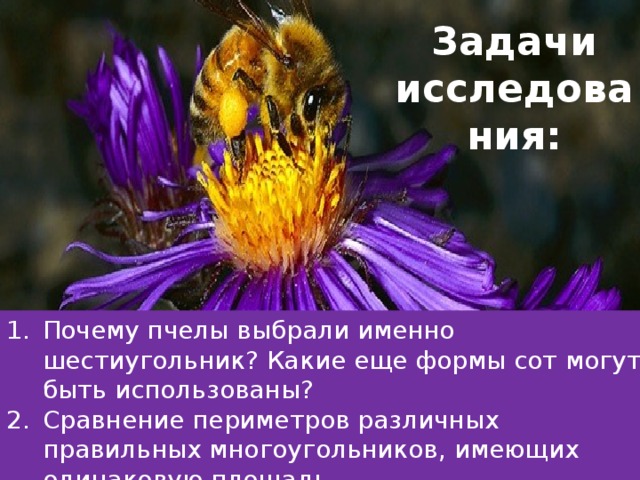 Задачи исследования:   Почему пчелы выбрали именно шестиугольник? Какие еще формы сот могут быть использованы? Сравнение периметров различных правильных многоугольников, имеющих одинаковую площадь. Динамическая геометрия – средство  информационного общения между пчелами. 4. Где применимы еще пчелиные соты?