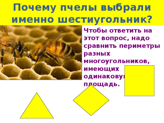 Почему пчелы выбрали именно шестиугольник? Чтобы ответить на этот вопрос, надо сравнить периметры разных многоугольников, имеющих одинаковую площадь.