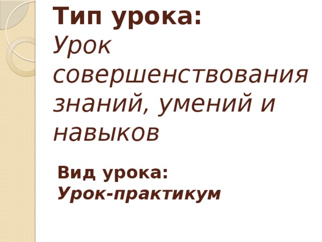 Тип урока:  Урок совершенствования знаний, умений и навыков Вид урока: Урок-практикум