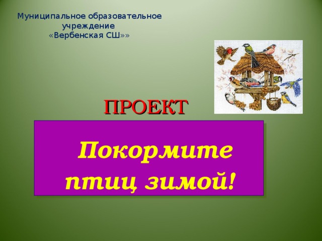 Муниципальное образовательное учреждение  «Вербенская СШ»»  ПРОЕКТ  Покормите птиц зимой!