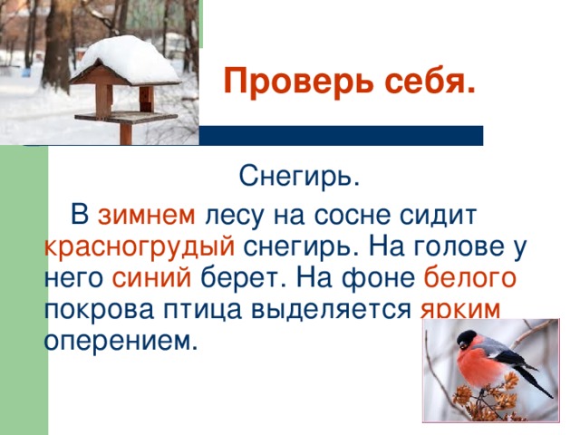 Проверь себя.  Снегирь.  В зимнем лесу на сосне сидит красногрудый снегирь. На голове у него синий берет. На фоне белого покрова птица выделяется ярким оперением.
