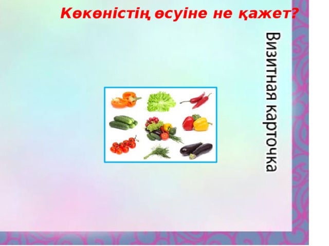 Көкөністің өсуіне не қажет?