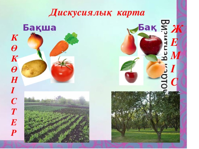 Дискусиялық карта Бақ Ж Е М І С Т Е Р Бақша К Ө К Ө Н І С Т Е Р