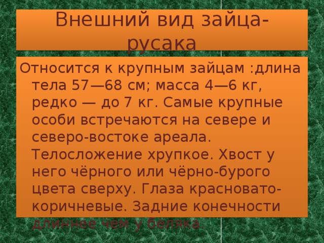 Внешний вид зайца-русака Относится к крупным зайцам :длина тела 57—68 см; масса 4—6 кг, редко — до 7 кг. Самые крупные особи встречаются на севере и северо-востоке ареала. Телосложение хрупкое. Хвост у него чёрного или чёрно-бурого цвета сверху. Глаза красновато-коричневые. Задние конечности длиннее чем у беляка.