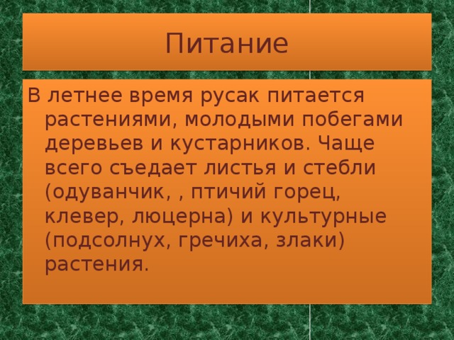 Питание В летнее время русак питается растениями, молодыми побегами деревьев и кустарников. Чаще всего съедает листья и стебли (одуванчик, , птичий горец,  клевер, люцерна) и культурные (подсолнух, гречиха, злаки) растения.