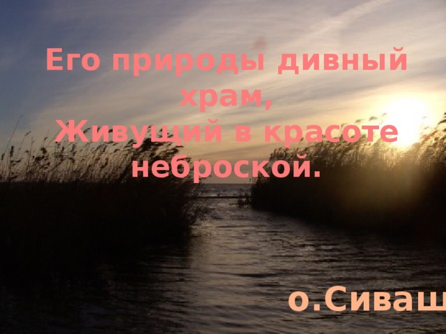 Его природы дивный храм, Живущий в красоте неброской. о.Сиваш