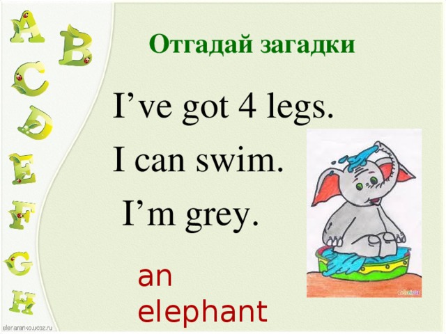 Отгадай загадки I’ve got 4 legs. I can swim.  I’m grey. an elephant