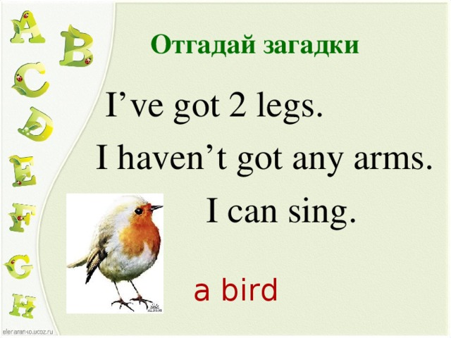 Отгадай загадки  I’ve got 2 legs. I haven’t got any arms.  I can sing.  a bird