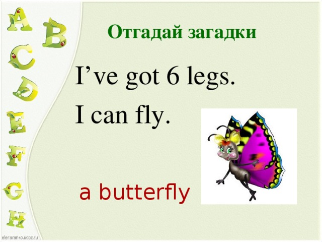 Отгадай загадки  I’ve got 6 legs.  I can fly. a butterfly