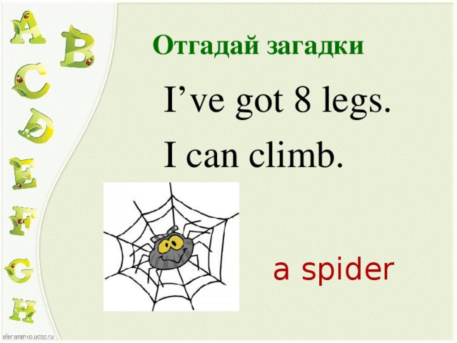 Отгадай загадки  I’ve got 8 legs.  I can climb. a spider