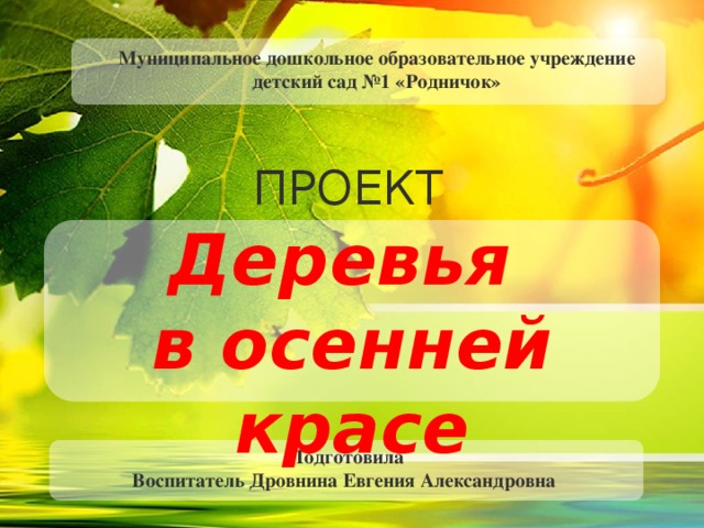 Муниципальное дошкольное образовательное учреждение  детский сад №1 «Родничок» ПРОЕКТ  Деревья в осенней красе Подготовила Воспитатель Дровнина Евгения Александровна