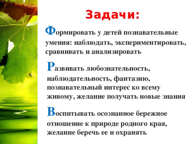 Задачи: Ф ормировать у детей познавательные умения: наблюдать, экспериментировать, сравнивать и анализировать Р азвивать любознательность, наблюдательность, фантазию, познавательный интерес ко всему живому, желание получать новые знания В оспитывать осознанное бережное отношение к природе родного края, желание беречь ее и охранять