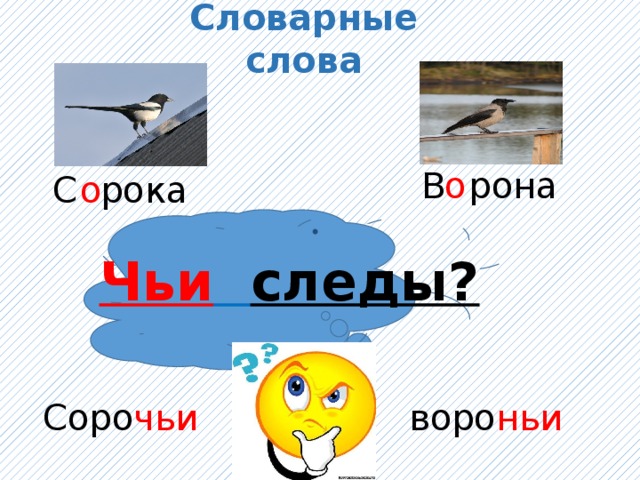 Словарные слова В рона о С рока о  . Чьи  следы? Соро чьи  воро ньи