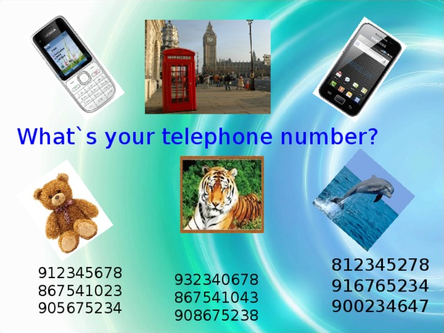 What`s your telephone number ? 812345278 916765234 900234647 912345678 867541023 905675234 93234 0 678 8675410 4 3 90 8 67523 8