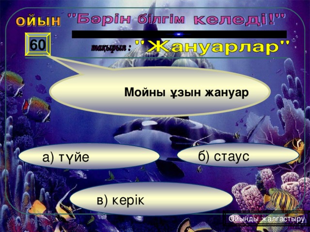 60 Мойны ұзын жануар б) стаус а) түйе в) керік Ойынды жалғастыру