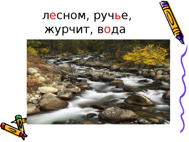 л е сном, руч ь е, журчит, в о да