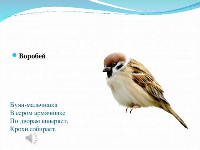 Буян-мальчишка  В сером армячишке  По дворам шныряет,  Крохи собирает.   Воробей