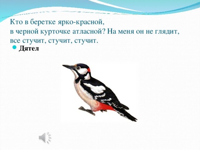 Кто в беретке ярко-красной,  в черной курточке атласной? На меня он не глядит,  все стучит, стучит, стучит. Дятел