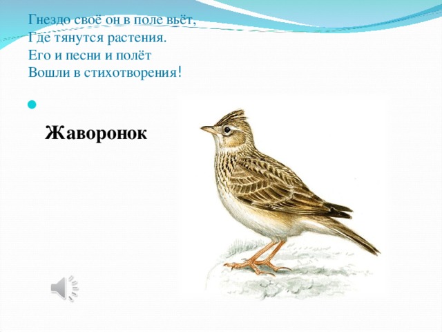 Гнездо своё он в поле вьёт,  Где тянутся растения.  Его и песни и полёт  Вошли в стихотворения ! Жаворонок