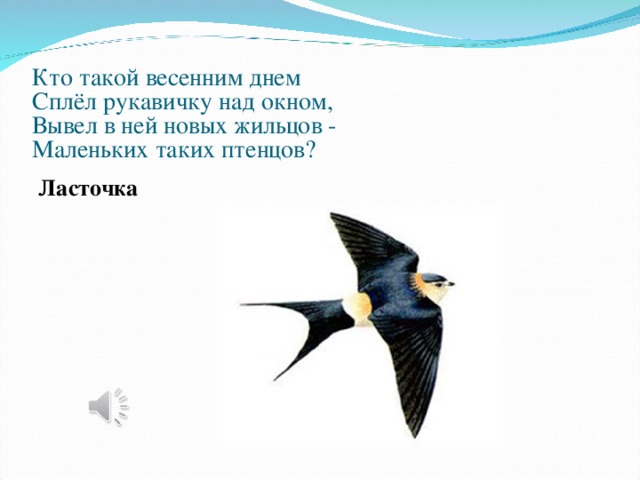 Кто такой весенним днем   Сплёл рукавичку над окном,   Вывел в ней новых жильцов -   Маленьких таких птенцов?   Ласточка