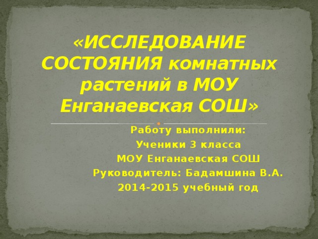 «ИССЛЕДОВАНИЕ СОСТОЯНИЯ комнатных растений в МОУ Енганаевская СОШ» Работу выполнили: Ученики 3 класса МОУ Енганаевская СОШ Руководитель: Бадамшина В.А. 2014-2015 учебный год