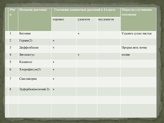 № п/п Название растения  Состояние комнатных растений в 4 классе 1 Бегония хорошее 2 Герань(2) 3 удовлетв + Диффенбахия 4 + неудовлетв Меры по улучшению состояния + Зигокактус 5 Каланхое 6 Удалить сухие листья + + Хлорофитум(3) 7 + 8 Прорыхлить почву Сансевиерия + полив Эуфербия(молочай-2) +