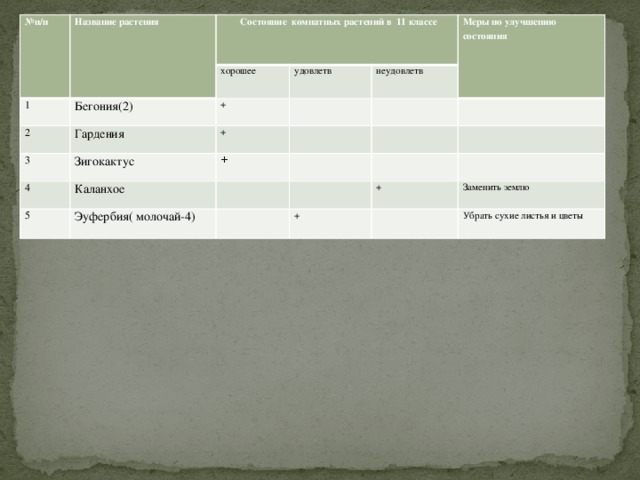 № п/п Название растения  Состояние комнатных растений в 11 классе 1 Бегония(2) 2 хорошее Гардения 3 удовлетв + Зигокактус Меры по улучшению состояния 4 + неудовлетв Каланхое + 5 Эуфербия( молочай-4) + + Заменить землю Убрать сухие листья и цветы