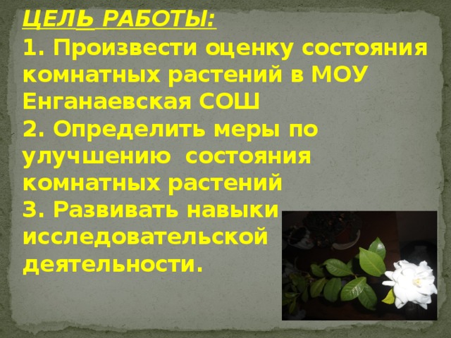 ЦЕЛ ь РАБОТЫ:  1. Произвести оценку состояния комнатных растений в МОУ Енганаевская СОШ  2. Определить меры по улучшению состояния комнатных растений  3. Развивать навыки исследовательской  деятельности.