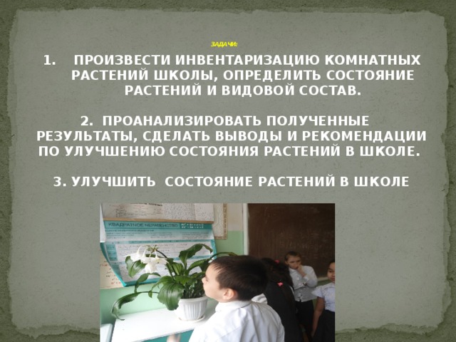 ЗАДАЧИ:   1. ПРОИЗВЕСТИ ИНВЕНТАРИЗАЦИЮ КОМНАТНЫХ РАСТЕНИЙ ШКОЛЫ, ОПРЕДЕЛИТЬ СОСТОЯНИЕ РАСТЕНИЙ И ВИДОВОЙ СОСТАВ.  2. ПРОАНАЛИЗИРОВАТЬ ПОЛУЧЕННЫЕ РЕЗУЛЬТАТЫ, СДЕЛАТЬ ВЫВОДЫ И РЕКОМЕНДАЦИИ ПО УЛУЧШЕНИЮ СОСТОЯНИЯ РАСТЕНИЙ В ШКОЛЕ.  3. УЛУЧШИТЬ СОСТОЯНИЕ РАСТЕНИЙ В ШКОЛЕ