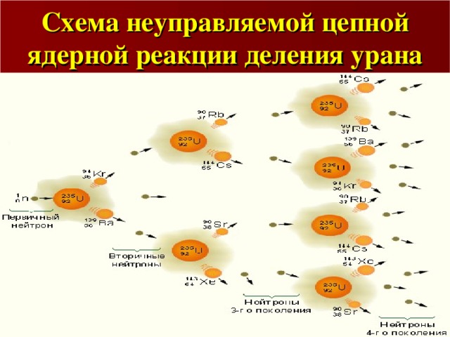 Схема неуправляемой цепной  ядерной реакции деления урана