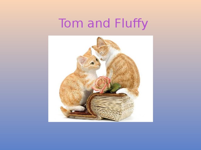 Tom and Fluffy