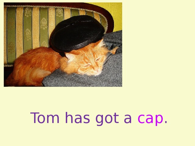 Tom has got a cap .