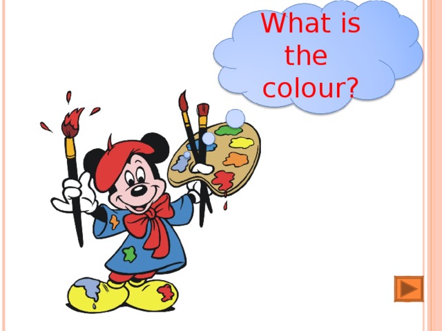 What is the  colour?