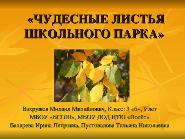 «ЧУДЕСНЫЕ ЛИСТЬЯ ШКОЛЬНОГО ПАРКА»   Вахрушев Михаил Михайлович, Класс: 3 «б», 9 лет МБОУ «БСОШ», МБОУ ДОД ЦТЮ «Полёт» Бахарева Ирина Петровна, Пустовалова Татьяна Николаевна