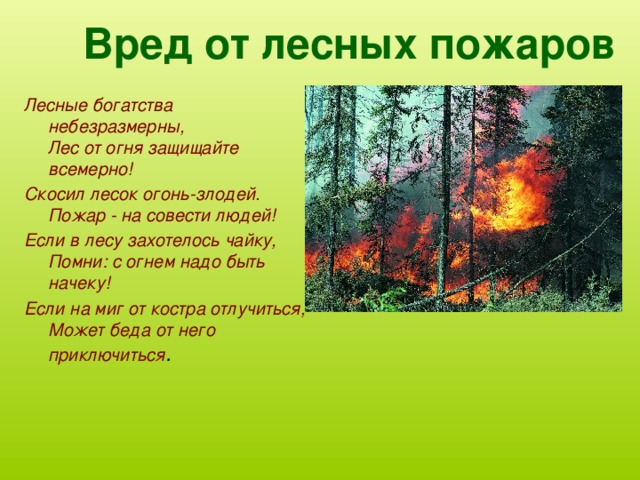 Что опасно человеку в лесу. Лесные пожары. Презентация на тему Лесные пожары. Вред лесных пожаров. Проект на тему Лесные пожары.