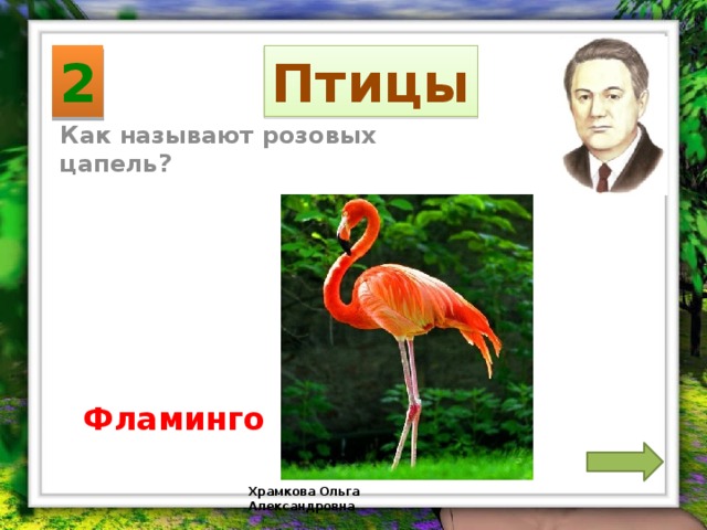 2 Птицы Как называют розовых цапель? Фламинго Храмкова Ольга Александровна