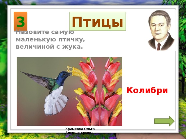 3 Птицы Назовите самую маленькую птичку, величиной с жука. Колибри Храмкова Ольга Александровна