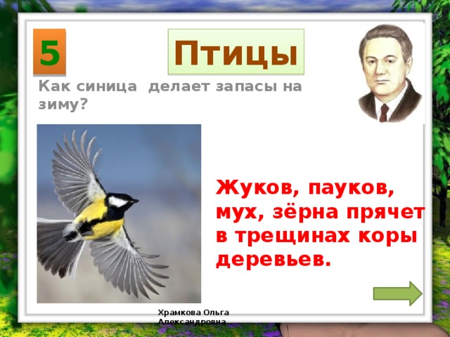 5 Птицы Как синица делает запасы на зиму? Жуков, пауков, мух, зёрна прячет в трещинах коры деревьев. Храмкова Ольга Александровна