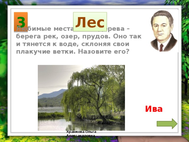 3 Лес Любимые места этого дерева – берега рек, озер, прудов. Оно так и тянется к воде, склоняя свои плакучие ветки. Назовите его? Ива Храмкова Ольга Александровна