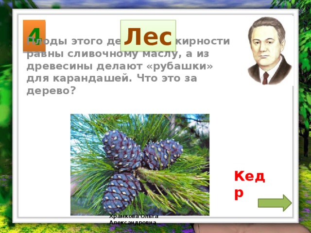 4 Лес Плоды этого дерева по жирности равны сливочному маслу, а из древесины делают «рубашки» для карандашей. Что это за дерево? Кедр Храмкова Ольга Александровна