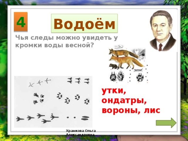 4 Водоём Чья следы можно увидеть у кромки воды весной? утки, ондатры, вороны, лис Храмкова Ольга Александровна