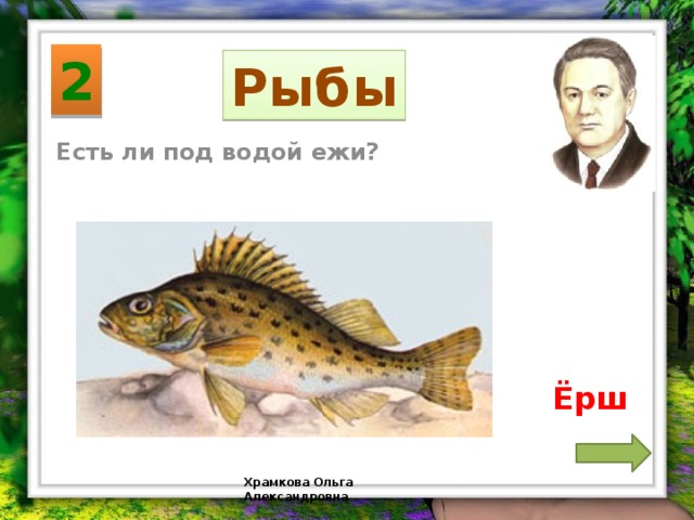 2 Рыбы Есть ли под водой ежи? Ёрш Храмкова Ольга Александровна