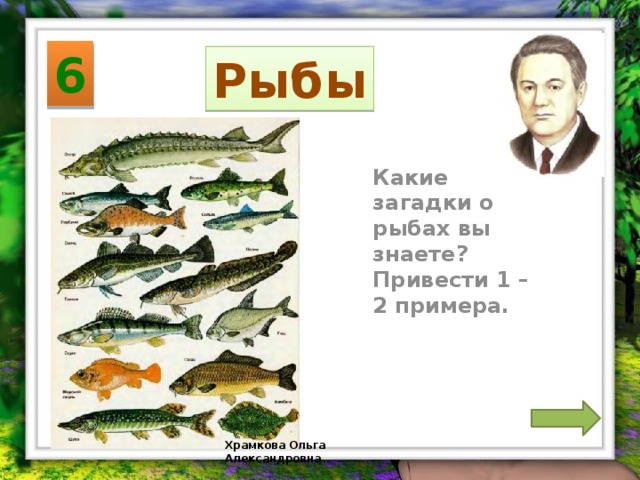 6 Рыбы Какие загадки о рыбах вы знаете? Привести 1 – 2 примера. Храмкова Ольга Александровна