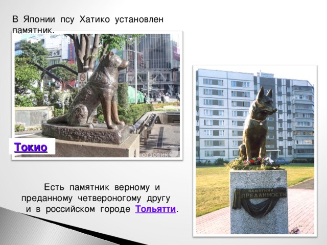 В Японии псу Хатико установлен памятник. Токио  Есть памятник верному и преданному четвероногому другу и в российском городе Тольятти .