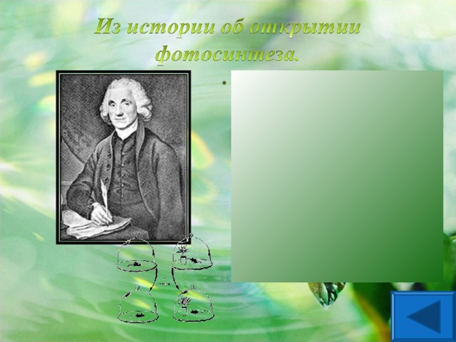 Фотосинтез был открыт в конце 18 столетия. В изучение этого процесса внесли свой вклад многие ученые. Одним из них был Д. Пристли , который в 1771 г. показал, что зелёные растения улучшают воздух, «испорченный» дыханием.
